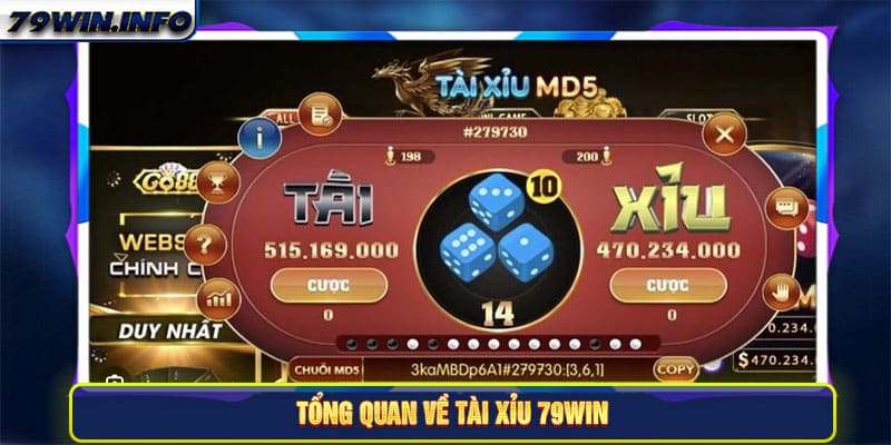 Tổng quan về tài xỉu 79Win